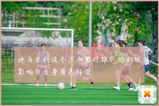 迪马尔科谈齐沃加盟对球队的积极影响与自身角色转变