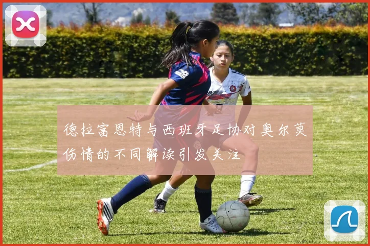 德拉富恩特与西班牙足协对奥尔莫伤情的不同解读引发关注